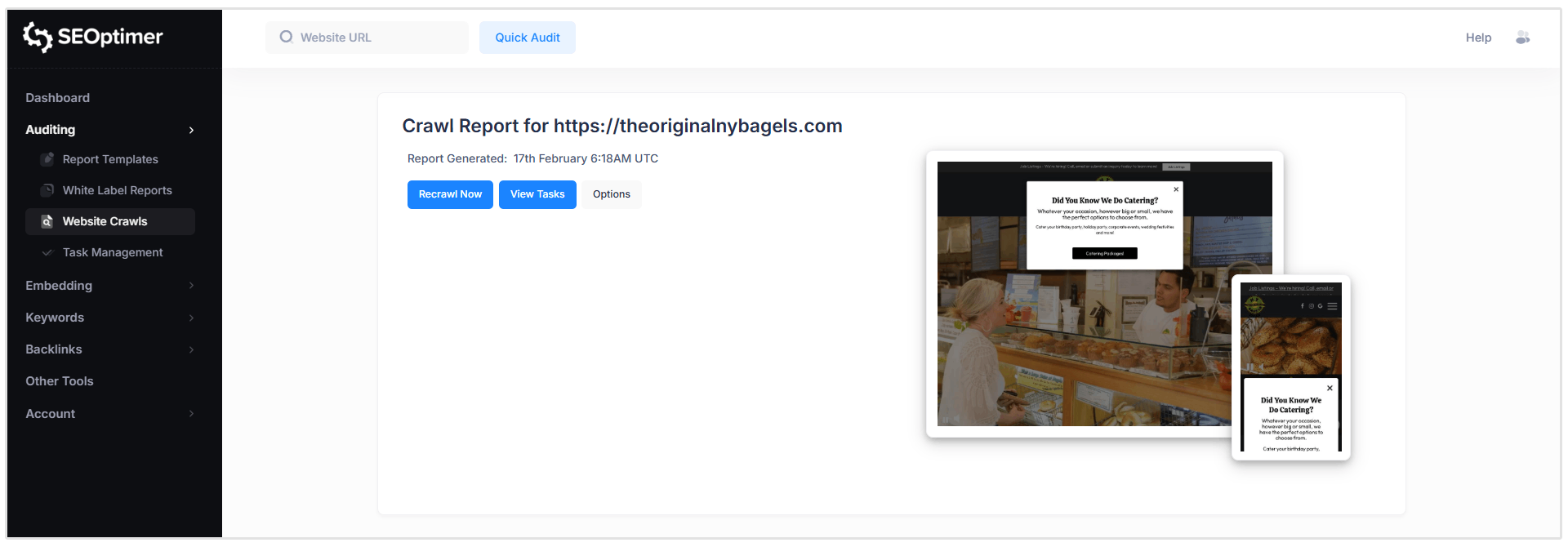 Crawl report header